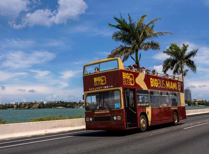 From Miami: Everglades, Wildlife Show, & Hop-on Hop-off Tour - The alligator show and Seminole traditions