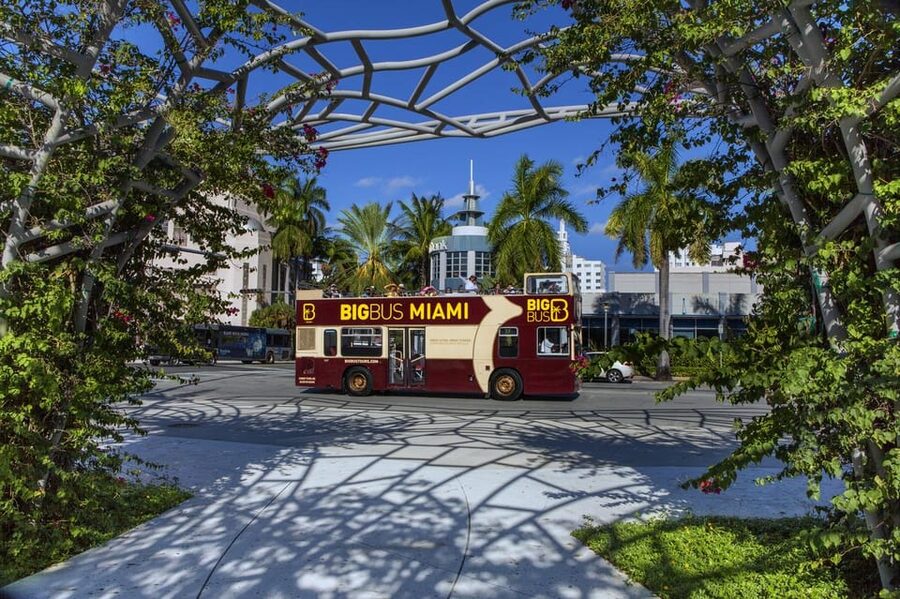 From Miami: Everglades, Wildlife Show, & Hop-on Hop-off Tour - Timing the two halves without wasting the day