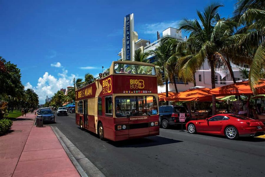 From Miami: Everglades, Wildlife Show, & Hop-on Hop-off Tour - What the price includes, and what it does not