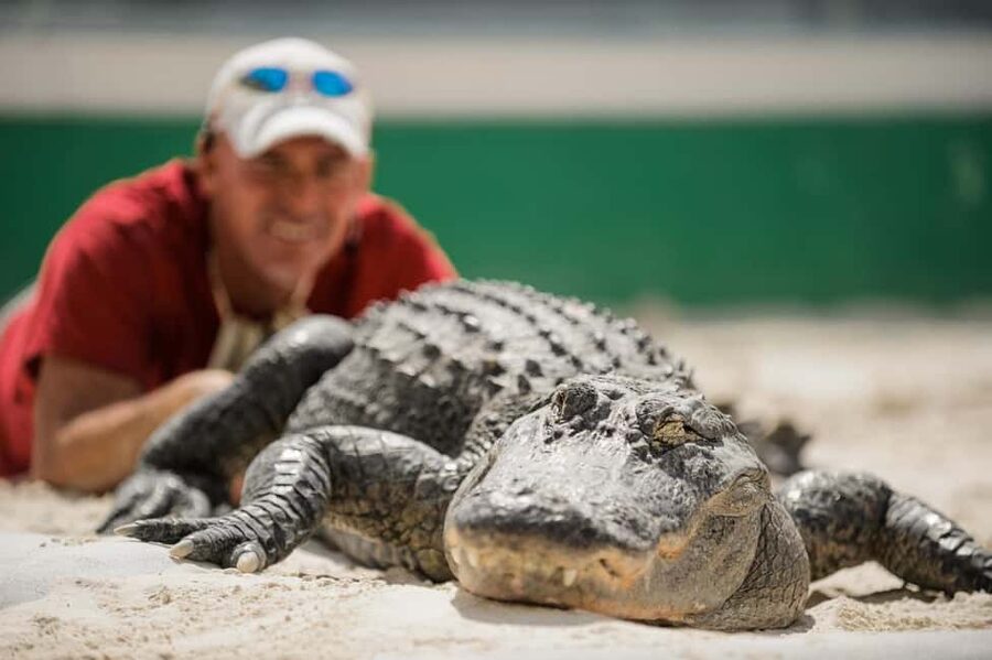 From Miami: Everglades, Wildlife Show, & Hop-on Hop-off Tour - Who will get the most from this tour