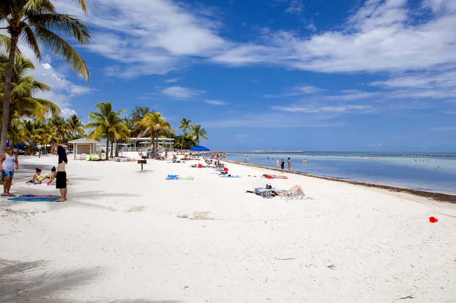 From Miami: Key West Day Tour by Motor Coach Bus - Food, shops, and the afternoon pace