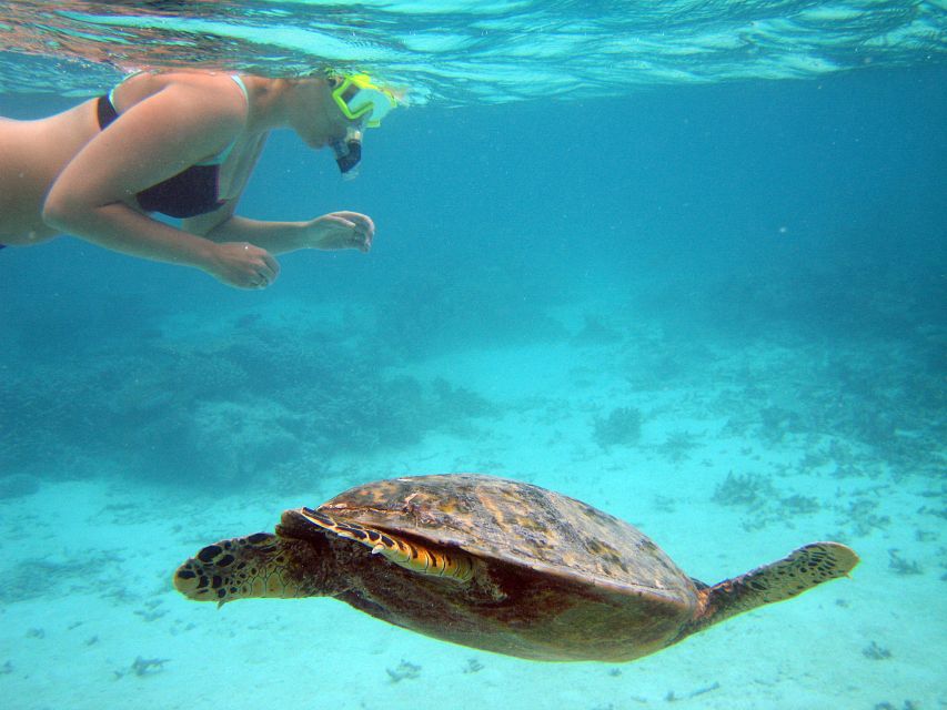 From Miami: Key West Day Trip - Four hours on the Overseas Highway