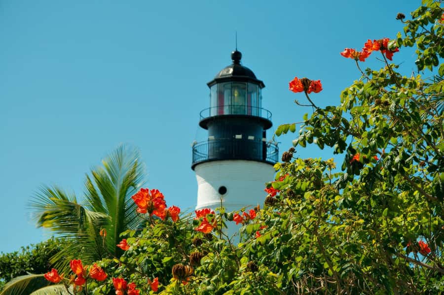 From Miami: Key West Day Trip with Narration - Duval Street, Mallory Square, and the waterfront