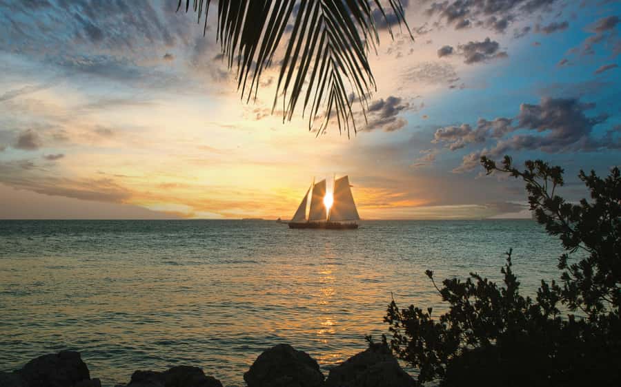 From Miami: Key West Day Trip with Narration - What the narration is really like