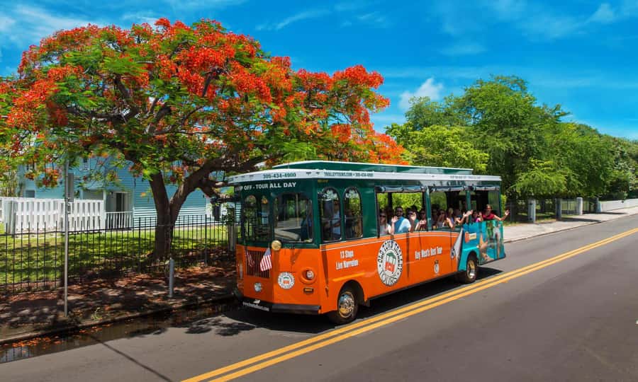 From Miami: Key West Day Trip with Narration - Comfort, timing, and the return ride