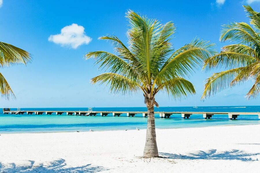 From Miami: Key West Day Trip - What the Miami pickup is like