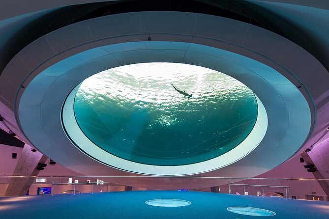 Frost Science Museum Admission Tickets - The planetarium is worth scheduling