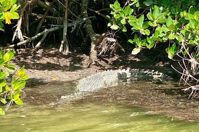 Ft Lauderdale to Islamorada Tour with Boat Ride and Lunch - A one-hour mangrove boat cruise around Islamorada