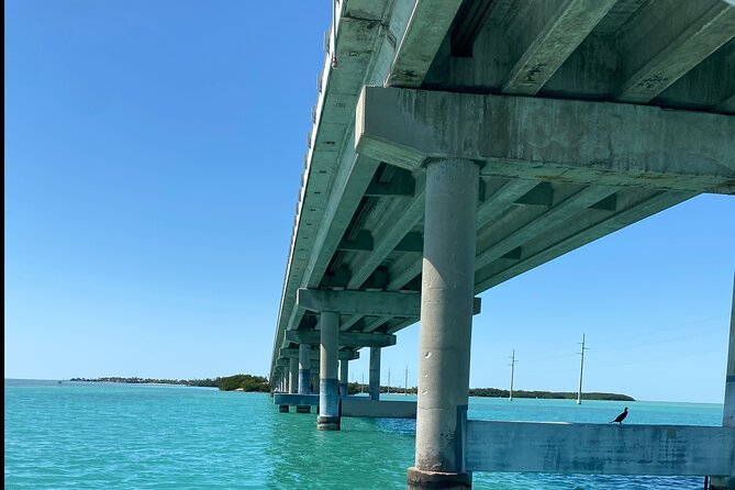 Ft Lauderdale to Islamorada Tour with Boat Ride and Lunch - Included lunch beside the water