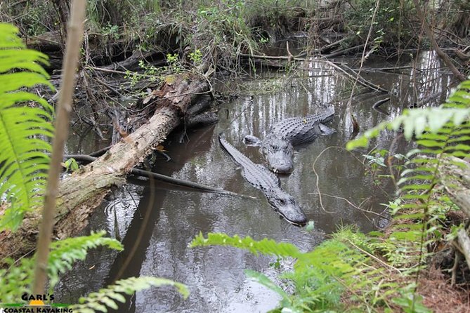 Full-Day Kayak Adventure in the Everglades - Meeting in Homestead and following the guide