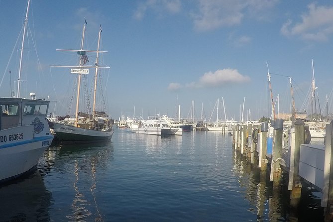 Full-Day Key West Tour and Coral Reef Snorkeling with Open Bar - Is $99 a fair price?