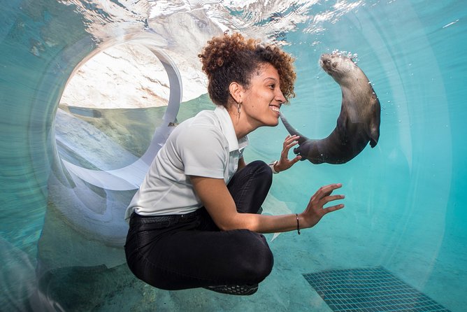 Go City: Miami All-Inclusive Pass with 25+ Attractions and Tours - Boat trips from Fort Lauderdale and Key Largo