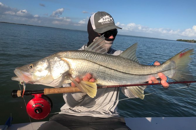 Golden Glare Fishing Charter with Experienced Captain - Tarpon migration areas and Everglades water