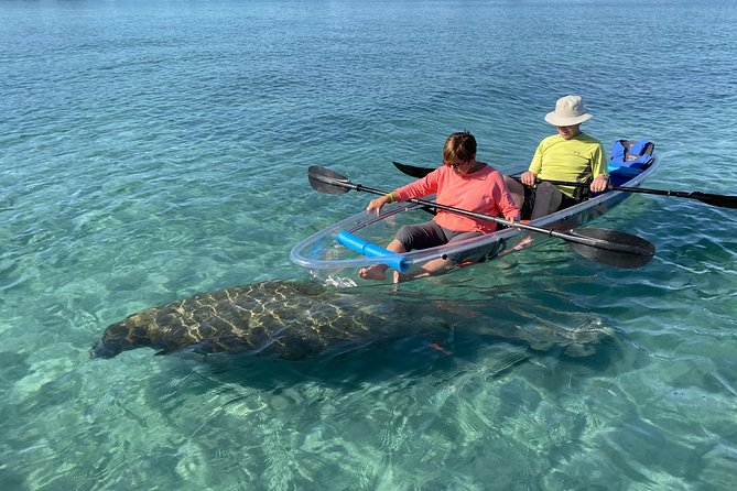 Guided Clear Kayak Eco-Tour of Jupiter - Key points to know before paddling