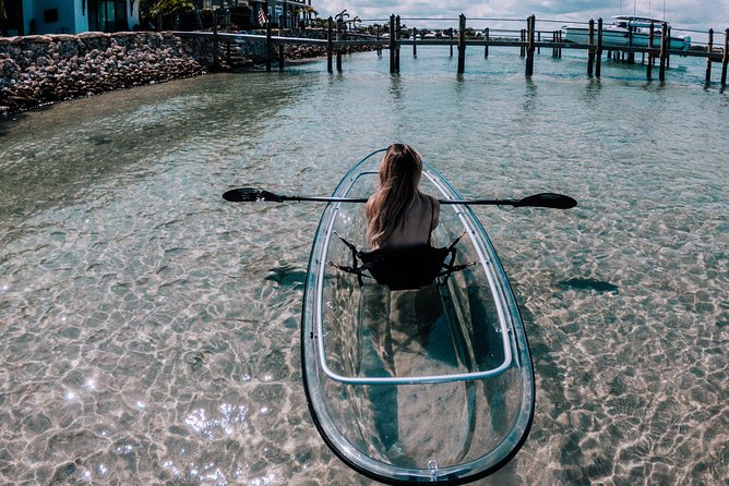Guided Clear Kayak Eco-Tour of Jupiter - Why the clear kayak changes the experience