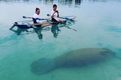 Guided Clear Kayak Eco-Tour of Jupiter