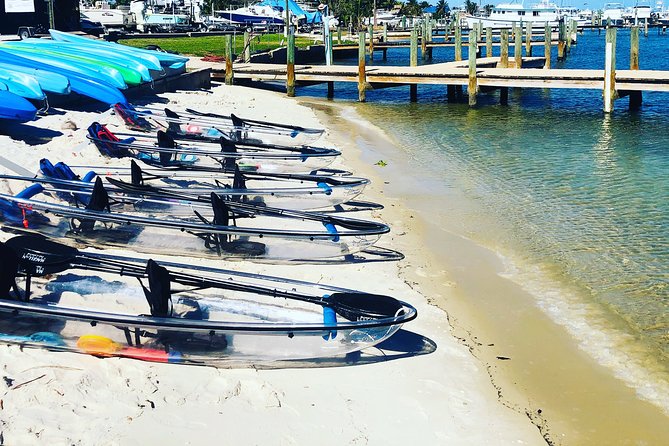 Guided Clear Kayak Eco-Tour of Jupiter - The Indian River Lagoon and sandbar pause