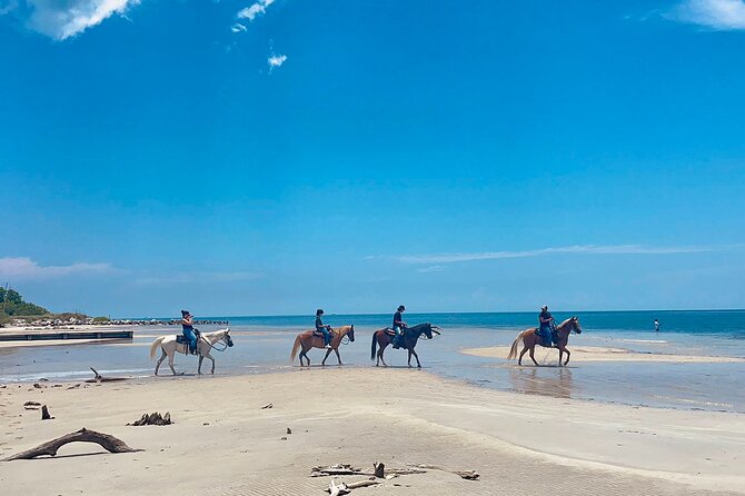 Guided Horseback Riding on The Pristine Waters of Miami Florida - Key points to know before booking