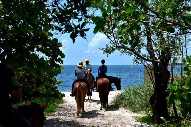 Guided Horseback Riding on The Pristine Waters of Miami Florida - What the trail section really offers