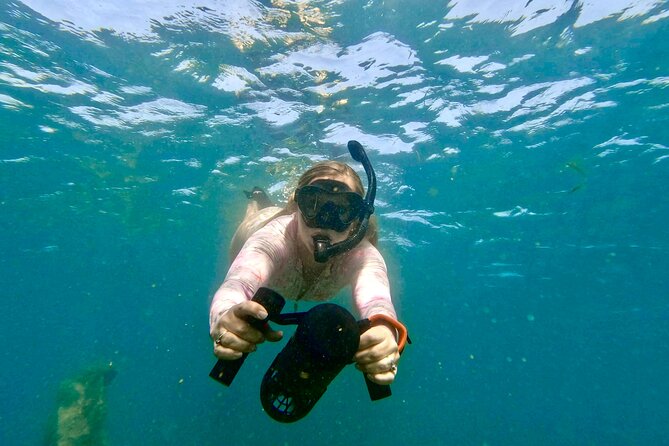 Guided Jet Snorkel Experience, Free Videos in West Palm Beach - Key points to know before booking