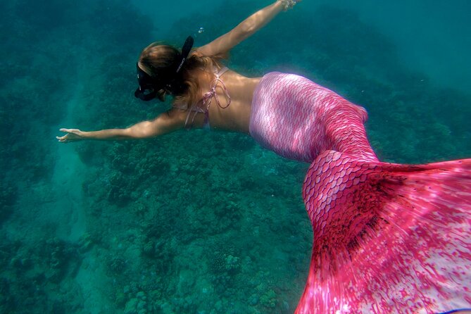 Guided Mermaid Snorkel Experience, Free Videos in West Palm Beach - Who Will Get the Most From This Mermaid Session