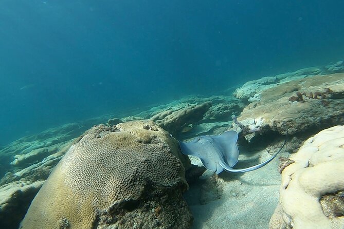 Guided Reef Snorkeling Tour in Pompano Beach - Getting fitted with equipment