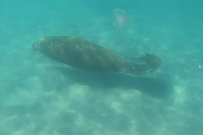 Guided Reef Snorkeling Tour in Pompano Beach - Staying close to the guide