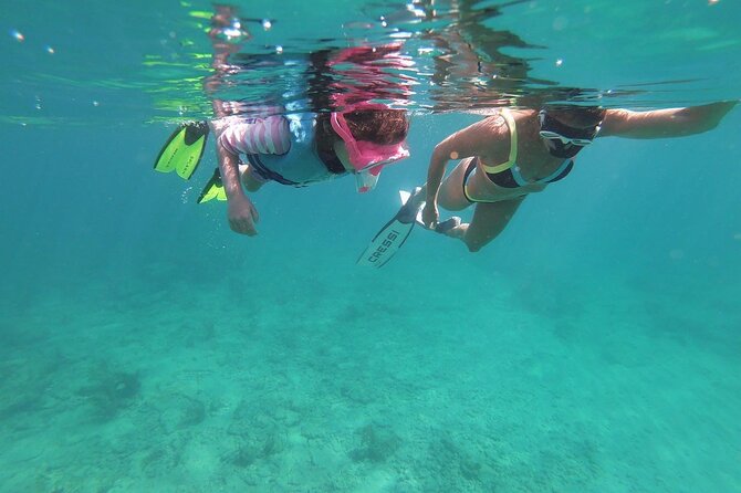 Guided Reef Snorkeling Tour in Pompano Beach - A reef tour without a boat ride