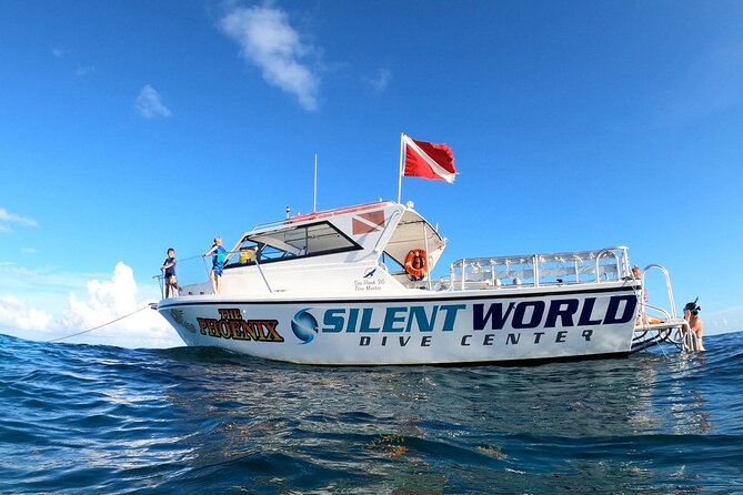 Guided Shallow 2 Tank Dive Trip for CERTIFIED SCUBA DIVERS ONLY! - Stop two: reef and sanctuary waters
