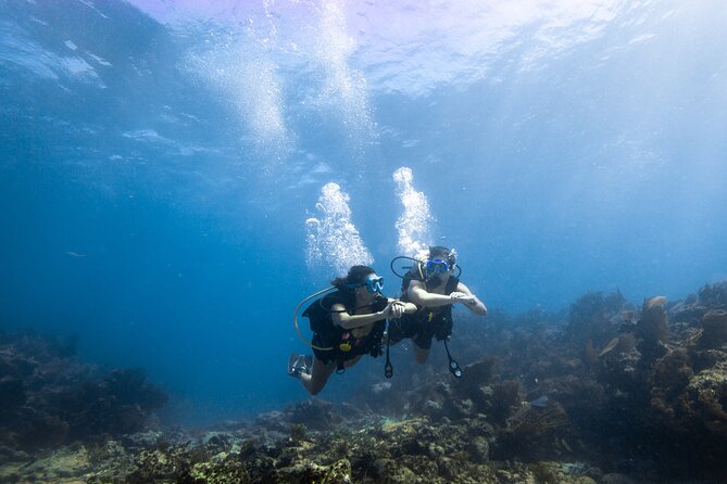 Guided Shallow 2 Tank Dive Trip for CERTIFIED SCUBA DIVERS ONLY! - What the $250 price really covers