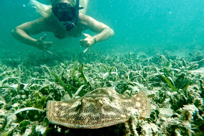 Guided Snorkel Experience, Free Videos in West Palm Beach - Starting at Phil Foster Park