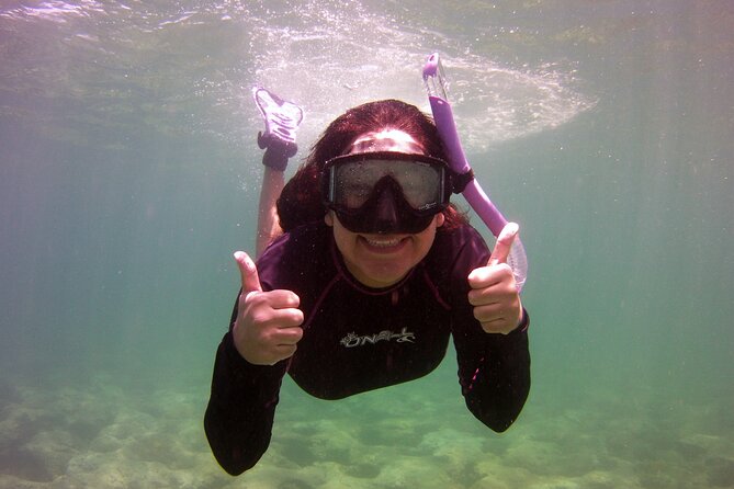 Guided Snorkel Experience in Fort Lauderdale - Key points to know before you book