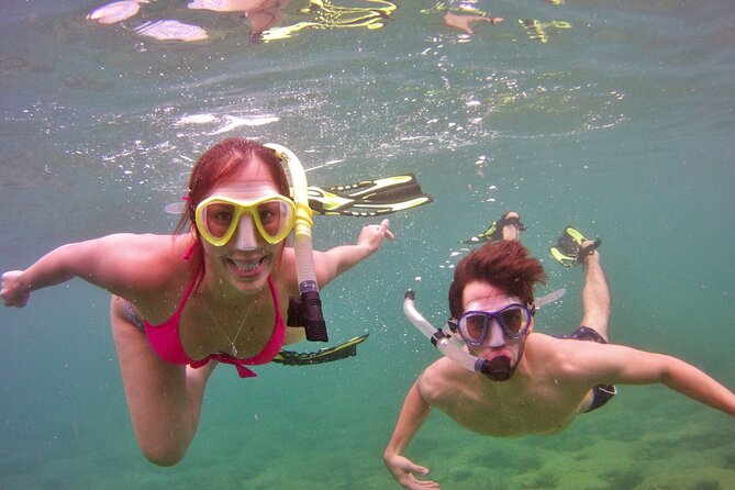 Guided Snorkel Experience in Fort Lauderdale - Optional photos are more useful than a souvenir