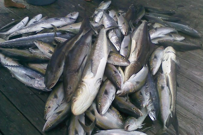 Half-Day Deep-Sea Fishing at Riviera Beach - Fishing the Atlantic with Blue Heron Fishing