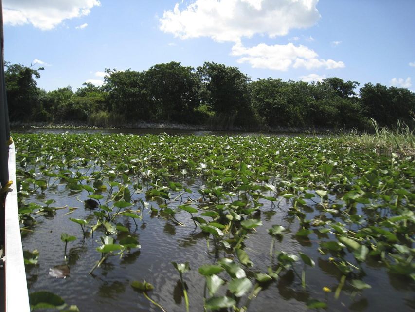 Half-Day Everglades Airboat Tours and Transportation - Choosing the right pickup point