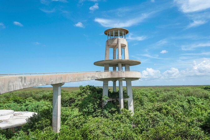 Half-day Everglades National Park Tour and 1-Hour Air Boat Ride - Key points at a glance