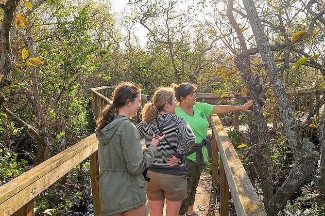 Half-day Everglades National Park Tour and 1-Hour Air Boat Ride - How the tour compares with doing it yourself