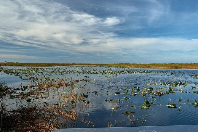 Half-day Everglades National Park Tour and 1-Hour Air Boat Ride - Who should book this Everglades outing