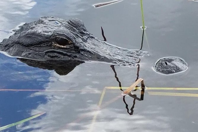Half-day Everglades National Park Tour and 1-Hour Air Boat Ride - Walking through the national park