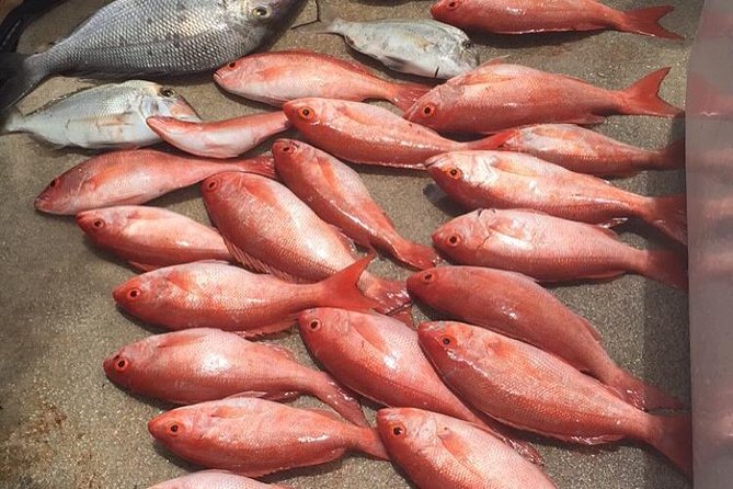 Half-Day Fishing Trip in Fort Lauderdale - Four hours of fishing off the Fort Lauderdale coast