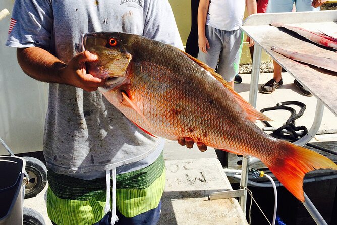 Half-Day Fishing Trip in Fort Lauderdale - What you may catch, and how large it may be