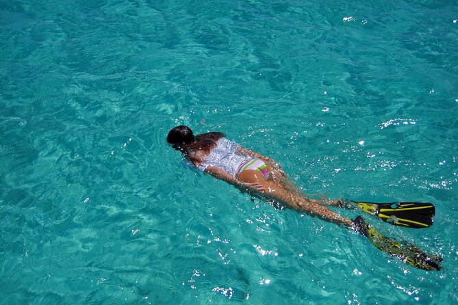 Half-Day Florida Keys Catamaran Snorkel Adventure - What you may see beneath the surface