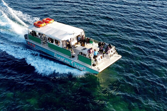 Half-Day Florida Keys Catamaran Snorkel Adventure - Stop two: Molasses Reef and the park’s underwater scenery