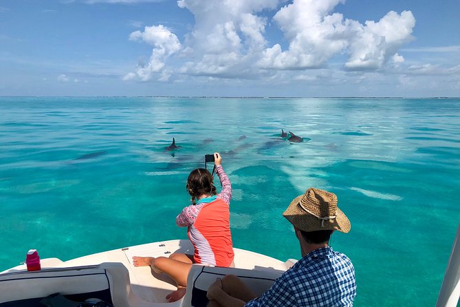 Half Day Private Boat Tour - Why Four Hours on Islamorada’s Water Makes Sense