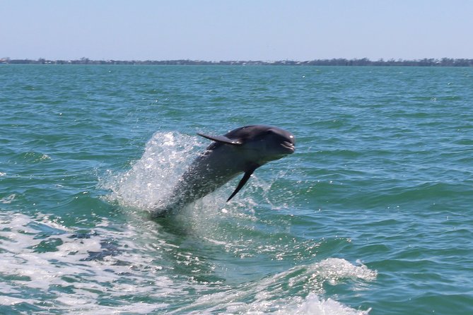 Half Day Private Boat Tour - Alligator Reef Lighthouse and Underwater Life