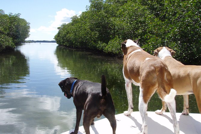 Half Day Private Boat Tour - Who Will Enjoy This Boat Tour Most?