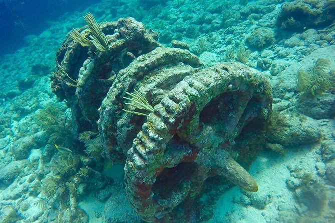 Half Day Scuba Diving Trip in the Florida Keys - The reef sites: Molasses, French, and Elbow