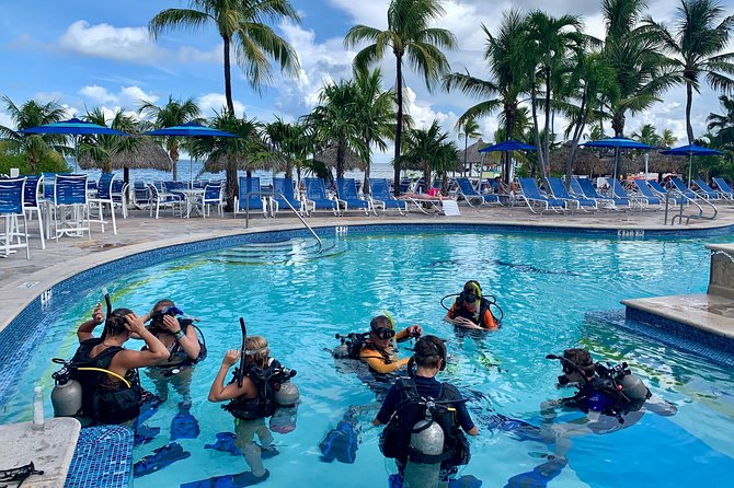 Half Day Scuba Diving Trip in the Florida Keys - What the $115 price really includes