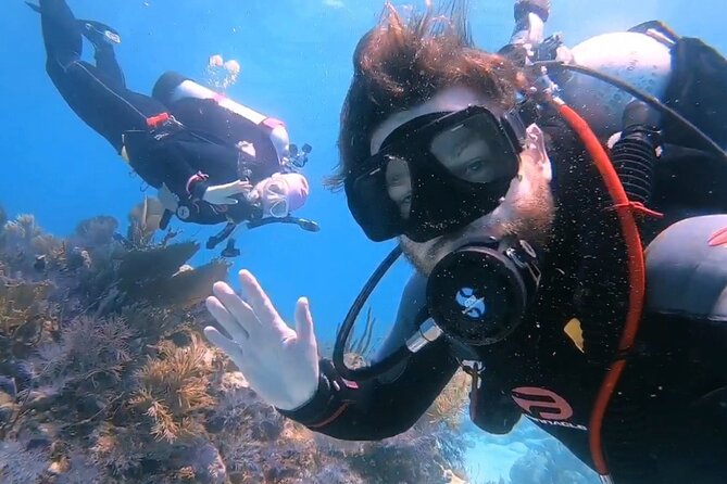 Half-Day Small-Group 2-Tank Scuba Dive in Key Largo (CERTIFIED DIVERS ONLY) - Certification Rules You Need to Take Seriously