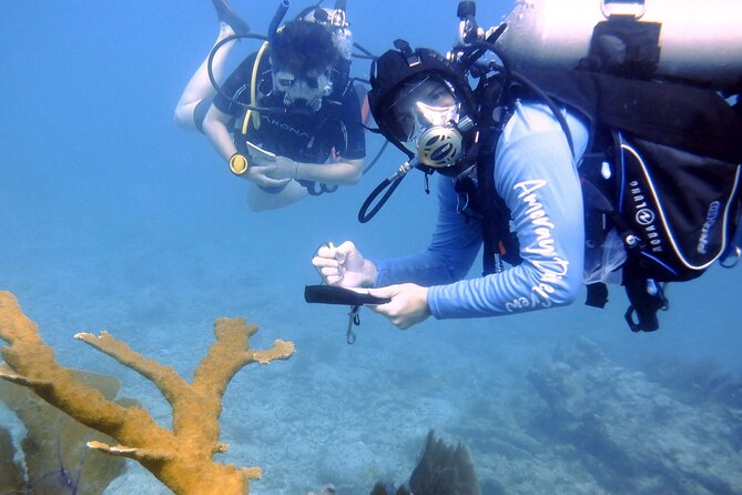 Half-Day Small-Group 2-Tank Scuba Dive in Key Largo (CERTIFIED DIVERS ONLY) - Group Size, Timing, and the Feel of the Boat